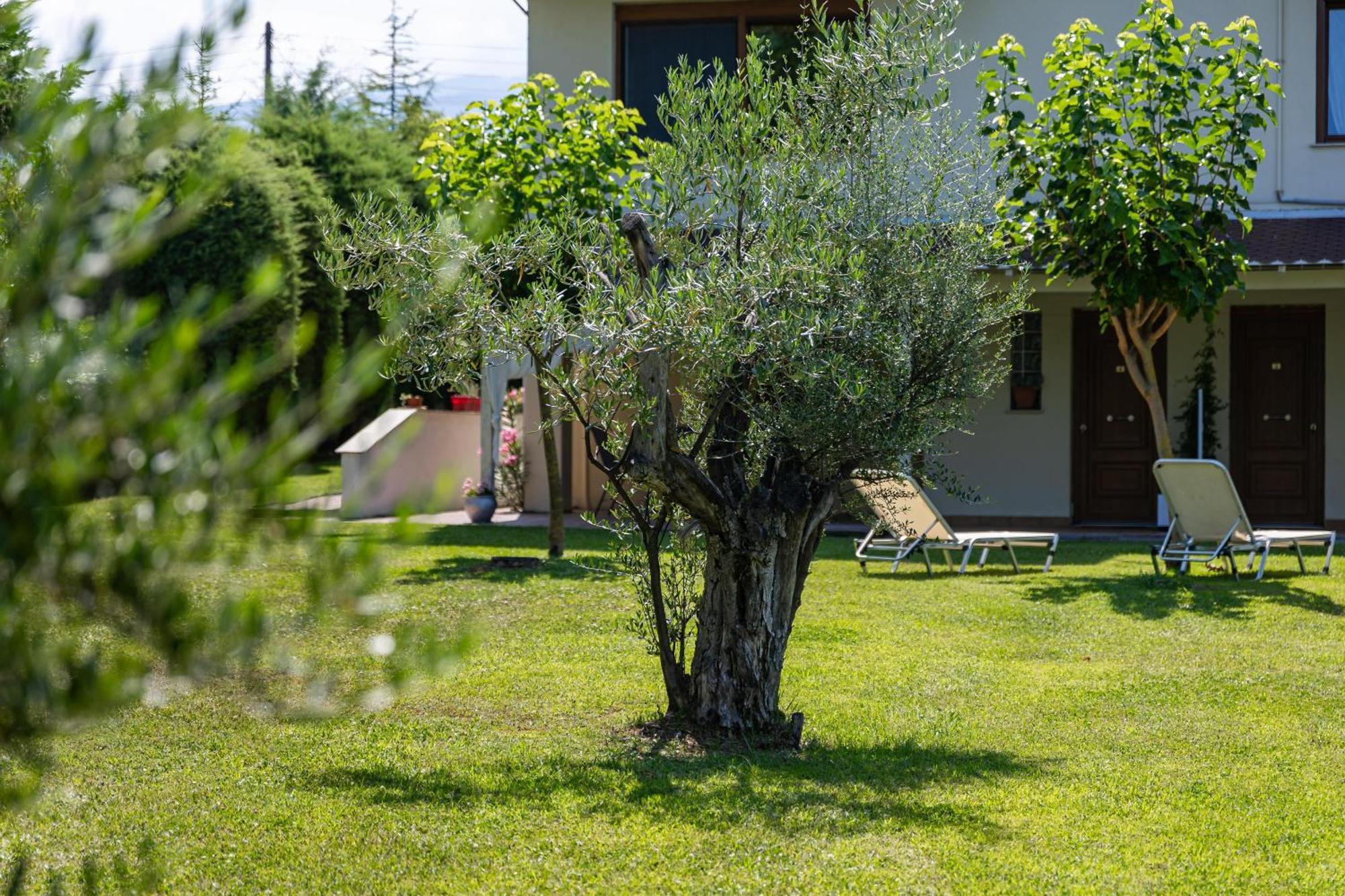 The Olympus Garden Beach House Litókhoron Eksteriør bilde